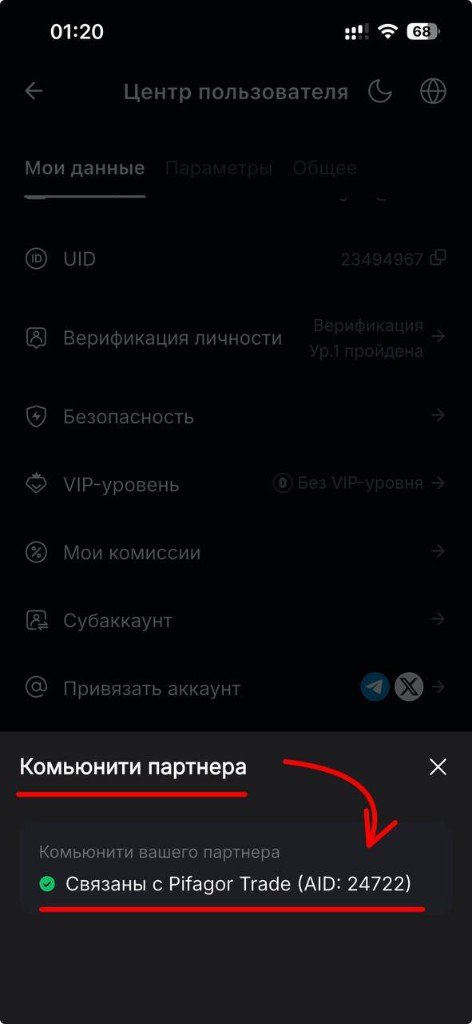 Связаны с Pifagor Trade в ByBit