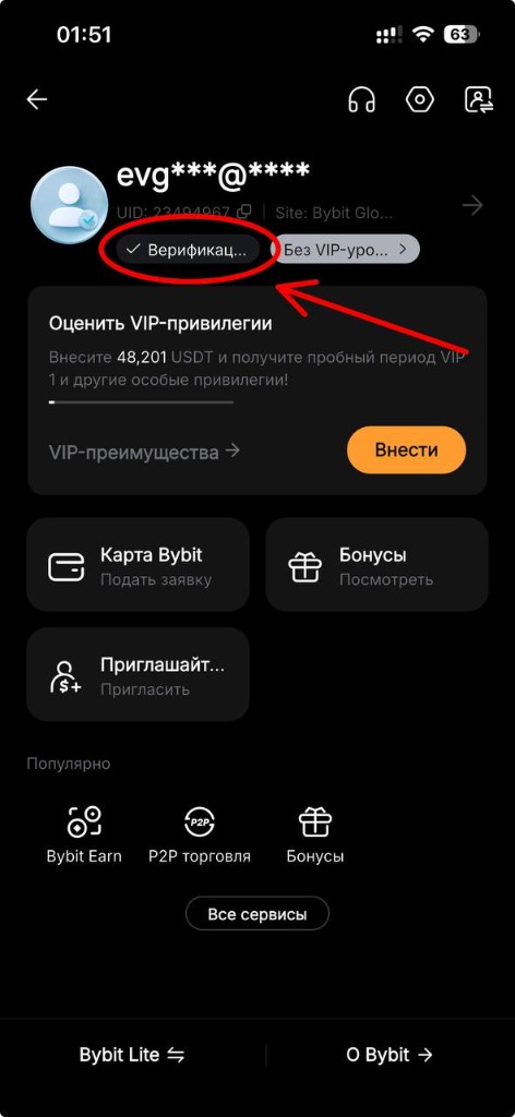 Кнопка верификации в профиле ByBit